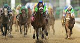 barbaroderby.jpg image by MyponyAutumn